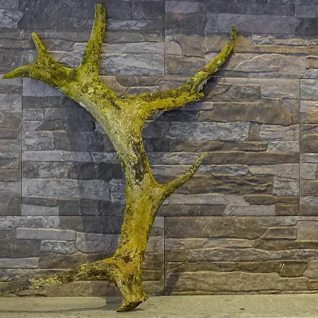 Vakantiehuis Tunturisopuli By Interhome Raattama